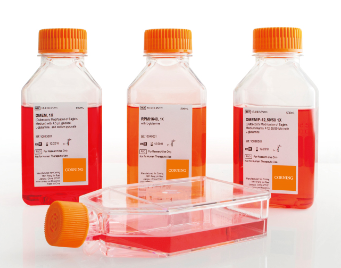 Corning? 500 mL DPBS (Dulbeccos Phospha